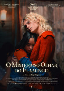 O Misterioso Olhar do Flamingo